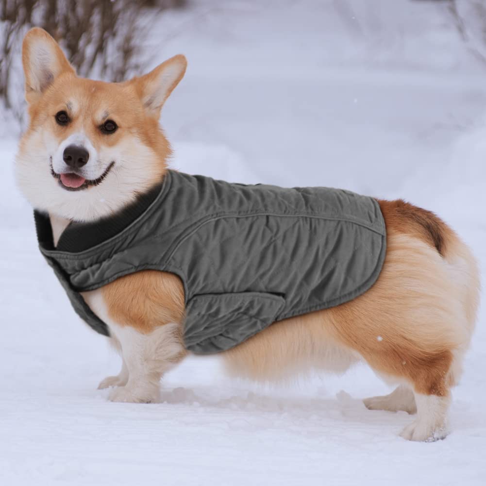 Emust Winter Dog Coats - Windproof Warm Dog Jacket For Cold Weather, 7 Sizes, 13 Colors (X-Small(Pack Of 1), Grey)