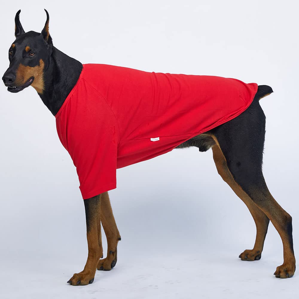 Lucky Petter Dog Shirt For Small Dogs Plain T-Shirts Soft Breathable Dog Cotton Shirt Pet Clothes (4X-Large, Red)