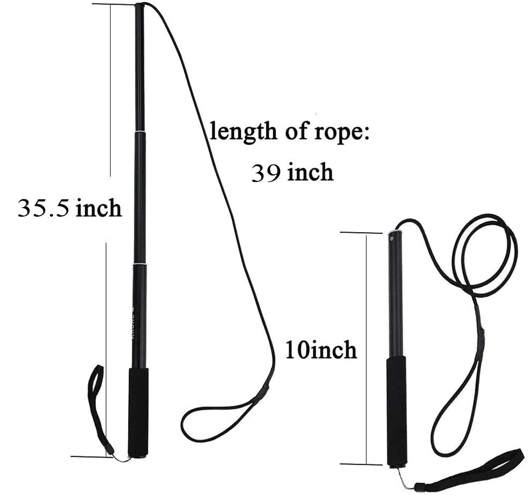 Amyese Interactive Dog Toys - Extendable Flirt Pole With 2Pcs Braided Rope Tugs For Dog Outdoor Entertainment, Train And Exercise, Blue, Size L