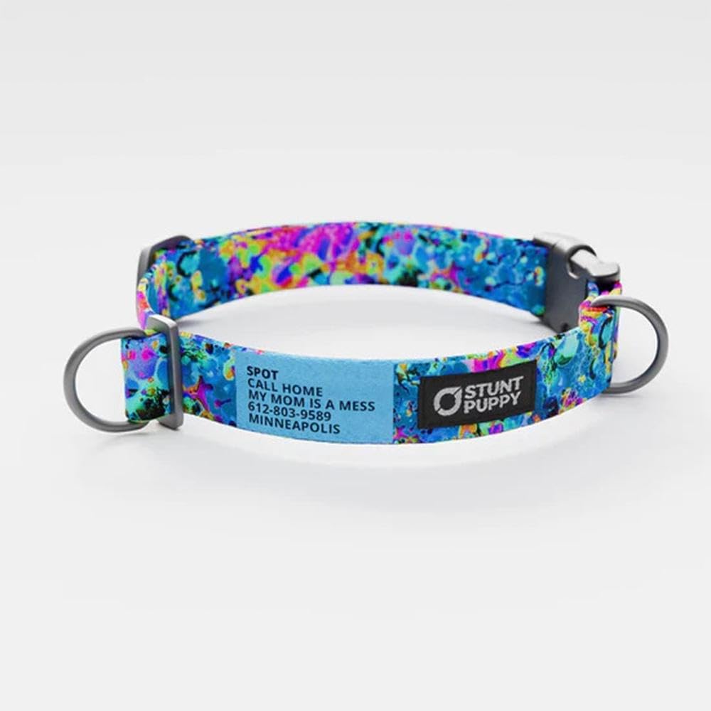 Jammin Sea Visions Everyday Collar Medium