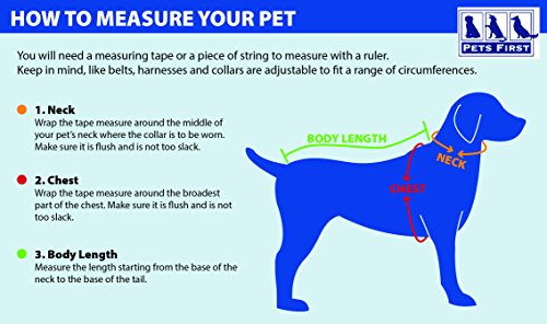 Pets First OAK-4000-XL Raiders Raglan Jersey, Multicolor, One Size