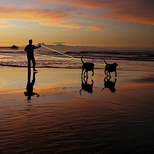 Plutus Pet Long Rope Dog Leash, With Comfortable Padded Handle, Reflective Nylon Heavy Duty Rope Leash, 15Ft 20Ft 30Ft 50Ft 66Ft Dog Training Leash For Small Medium Large Dogs (50Ft, Green)