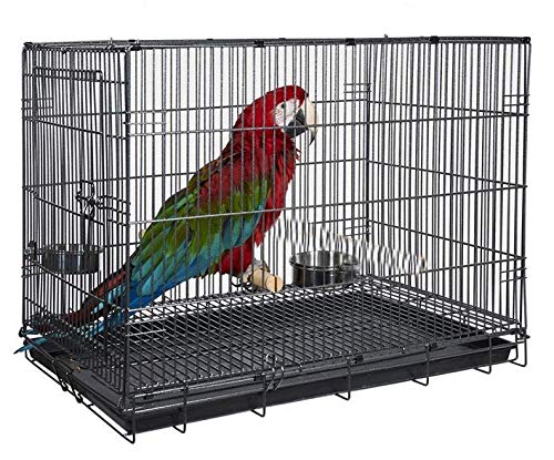 Large Durable Metal Travel Or Veterinary Easy Collapsable Parrot Bird Carrier Beaks Proof Carrier Cage Easy Clean Pull Out Tray 