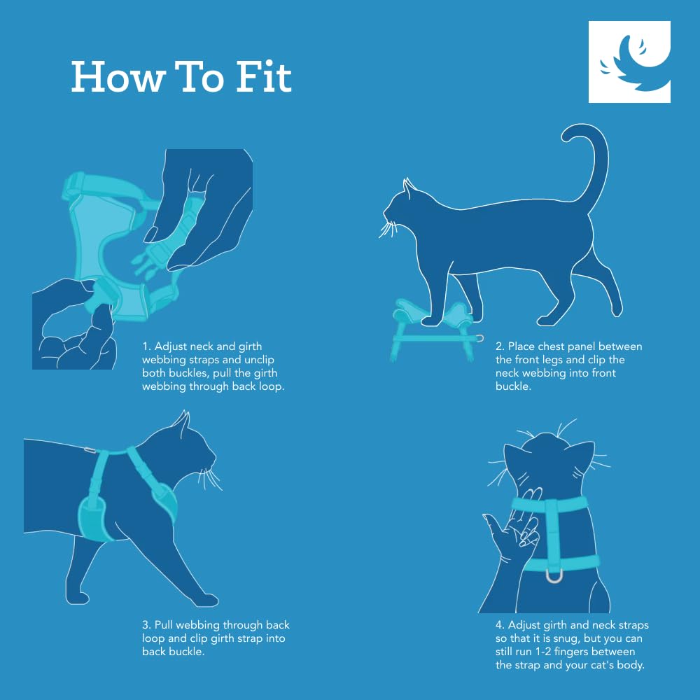 RC Pets Adventure Kitty Harness Includes Adjustable, Airmesh Fabric, 6 Leash and D-Ring Cat Walking Harness | Teal, Small