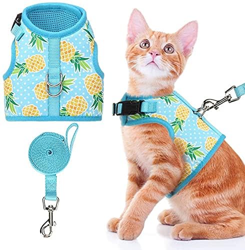 Bingpet Cat Harness - With Leash Included - Mesh Cat Dog Walking Harness Adjustable Harness For Kitties Puppy Harness Adjustable Cat Vest Harness Small Pineapple