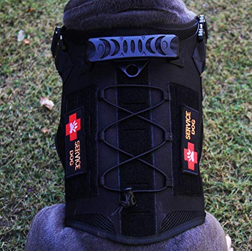 Antrix 6 Pcs Service Dog Working In Training Do Not Touch Pet Stress & Anxiety Response Access Required By Law No Exceptions Tactical Hook & Loop Emblem Badge Patch For Medium And Large Dogs Harness