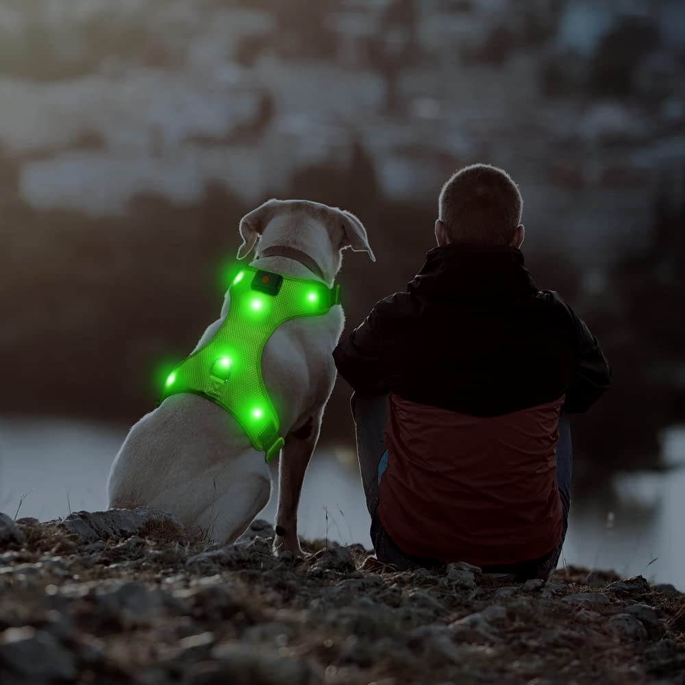 DOMIGLOW Light Up Harness for Dogs, No-Pull LED Dog Harness, USB Rechargeable Glowing Pet LED Vest for Night Walking Camping (Gr