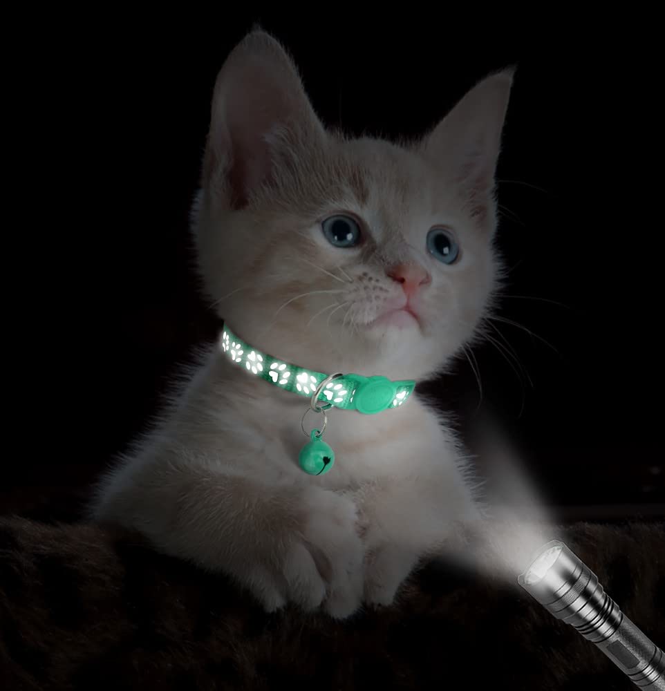 Taglory Reflective Cat Collars Breakaway With Bell, 2 Pack Girl Boy Pet Kitten Collar Adjustable 6-8 Inch, Turquoise