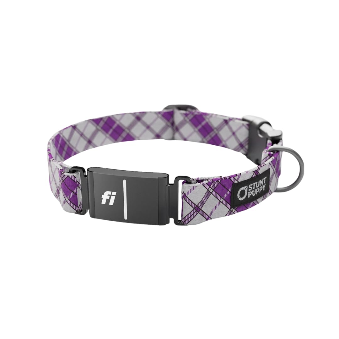 Stunt Puppy Dog Collar, Fi Series 3 Ready, Lumberpup Smoke, Small - Compatible With Fi Gps Device (Not Included)