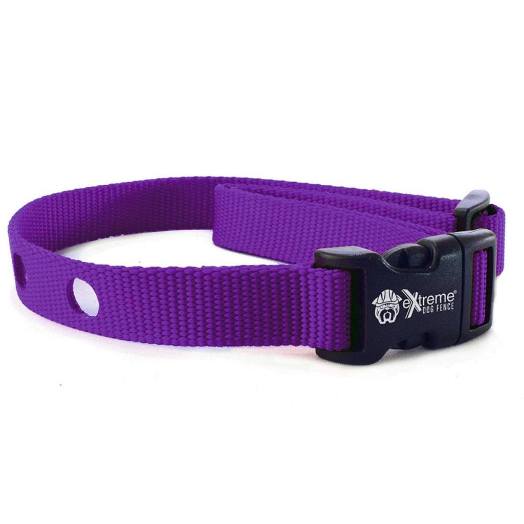 Extreme Dog Fence Dog Collar Replacement Strap - Purple - Compatible With Nearly All Brands And Models Of Underground Dog Fences
