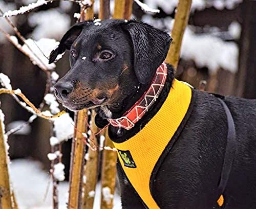 Ecobark Dog Harness - Luxurious Soft Mesh - Eco-Friendly Over The Head Vest Harness - No Pull & No Choke Design - Padded Breathable Body Halter - Large Puppies & Medium Breeds (Yellow, Xl)