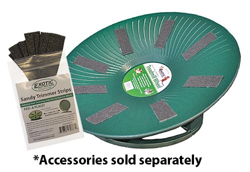 Exotic Nutrition 14 Black All Metal Treadmill Wheel for Small Pets - Silent, Smooth, Durable Exercise Wheel for Chinchillas, Hamsters & More