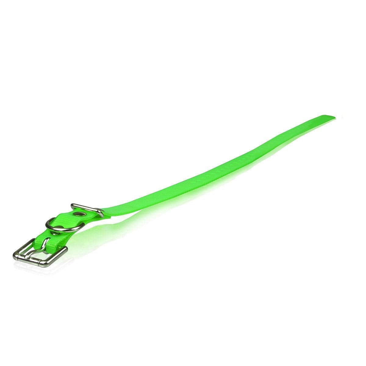 Dog Strap Size: 1' W X 30' D, Color: Roller Buckle