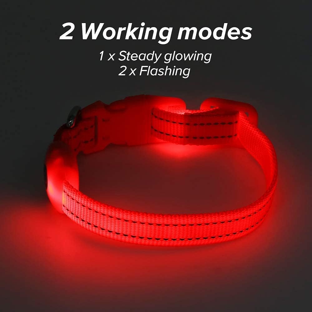 Bseen Light Up Dog Collar, Reflective Led Dog Collar Rechargeable Glowing Puppy Collars For Small Dogs & Cats, Safety Dog Lights