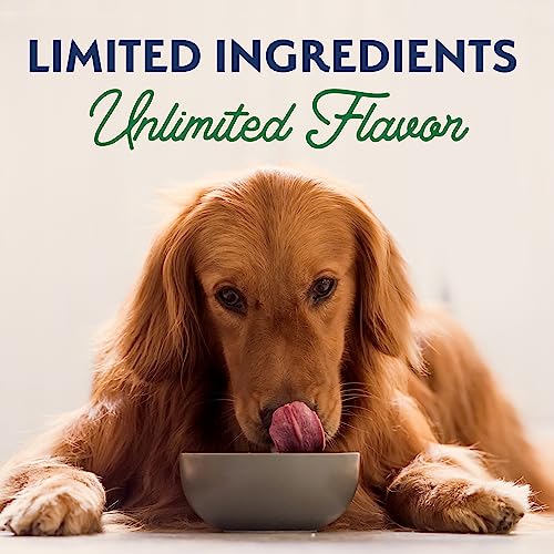 Natural Balance Adult Wet Dog Food, Lamb & Brown Rice, 13 Ounce (Pack of 12), Limited Ingredient, Healthy Grains