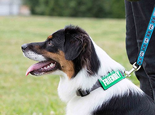 Canine Friendly Bark Notes Patch For Collar Or Leash, 1' Width