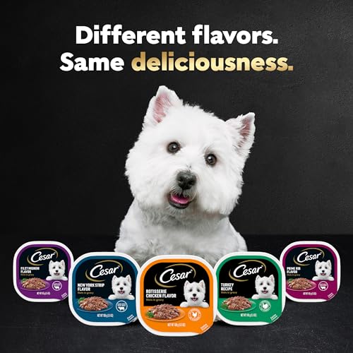 CESAR Filets in Gravy Adult Wet Dog Food Variety Pack, Filet Mignon and New York Strip Flavors, 3.5 oz Trays, 12 Count