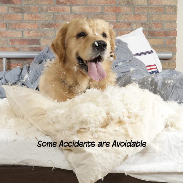 Pet Gate - 3-Panel Indoor Foldable Dog Fence For Stairs, Hallways, Or Doorways - 54X24-Inch Retractable Wood Freestanding Dog Gates By Petmaker (Gray)