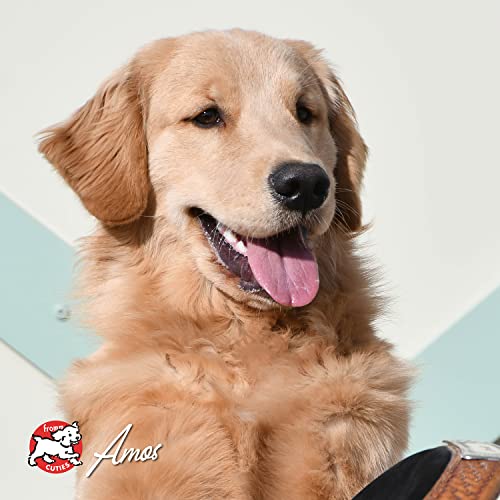 Fromm Four-Star Nutritionals Surf & Turf Dog Food - Premium Dry Dog Food - Salmon Recipe - 12 lb