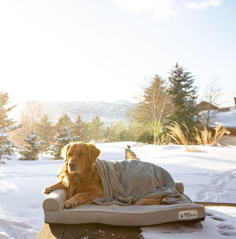 Petfusion Betterlounge Orthopedic Dog Bed | Solid Certipur-Us Memory Foam, Waterproof Liner | Large & Xl | Removable Micro-Suede Cover Available Separately, 1 Yr Warranty, Grey