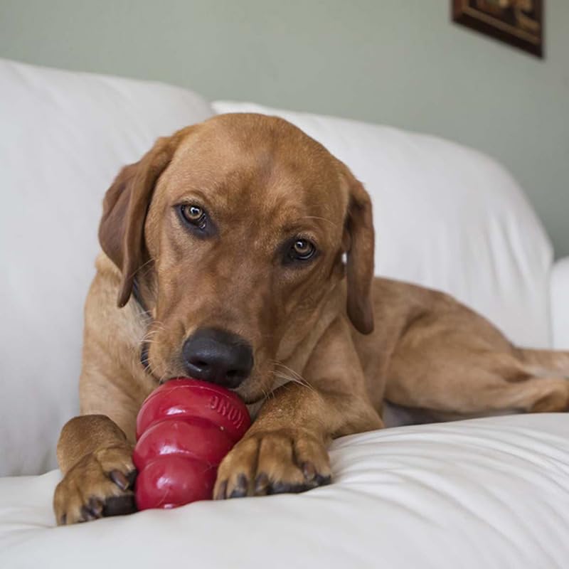 KONG Classic Dog Toy, Large Snacks Peanut Butter Snacks Large Dog Treats 11 Ounces, Combo Bundle