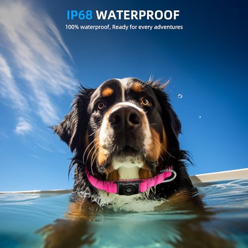 Upgraded Airtag Dog Collar, Ip68 Waterproof Air Tag Dog Collar Holder, Reflective, Ultra-Durable, Comfortable Padded, Heavy Duty Dog Collars For Small Medium Large Dogs (Xs (10.25'-13'), Hotpink)