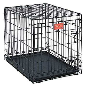 Medium Dog Crate | Midwest Life Stages 30' Folding Metal Divider Panel, Floor Protecting Feet, Plastic Tray 30L X 19W 21H Inches, Breed