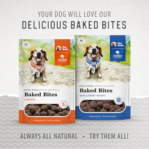 Caledon Farms The Dodo Baked Bites - Pumpkin 9.35oz, Dog Treats, Soft & Chewy