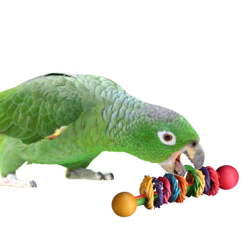 Super Bird Creations Sb536 Vine Ring Rattle Bird Foot Toy, Medium/Large Bird Size, 5.5' X 1.5'