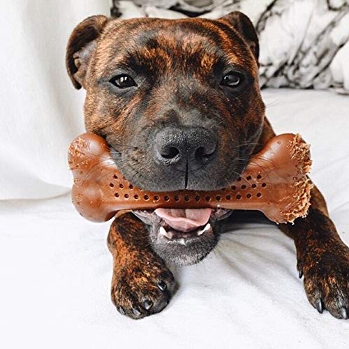 Pet Qwerks Flavorit Barkbone - Fillable Dog Bone For Moderate Chewers - Peanut Butter Flavor - 6.75', Made In Usa