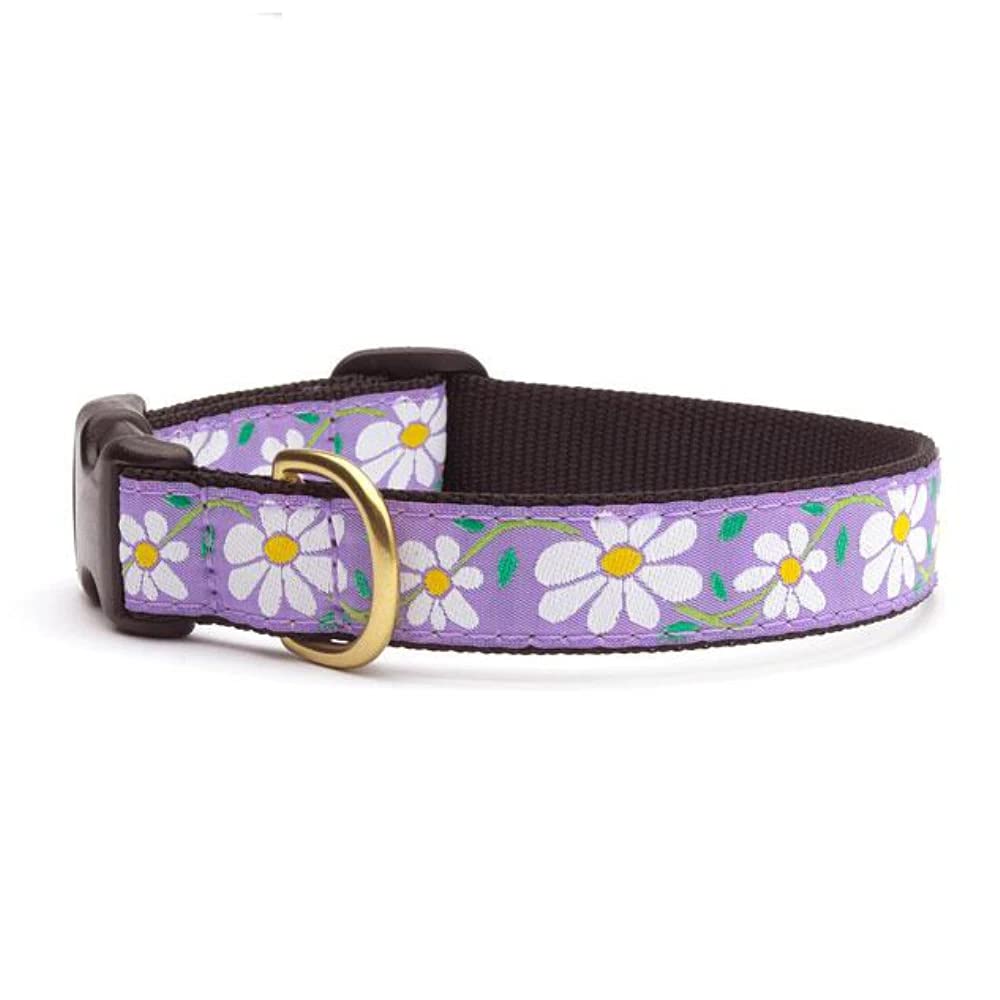 Up Country Daisy Pattern (Daisy Dog Collar, X-Small (6 To 12 Inches) 5/8 Inch Narrow Width)