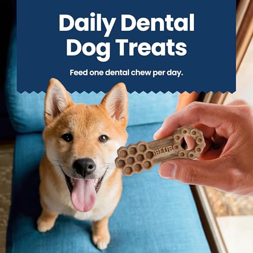 Blue Buffalo Medium Dental Chews for Dogs, Daily Dental Care Dog Treats Made in the USA with Natural Ingredients, Chicken & Spea