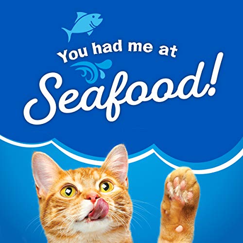 Purina Friskies Dry Cat Food Seafood Sensations With Salmon, Tuna, and Shrimp Flavors - 22 lb. Bag