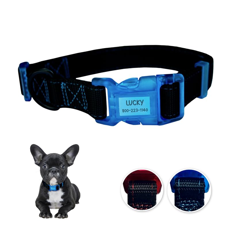 Sporn Dog Id Collar For Small Dogs, Black & Blue Small Dog Collar Made Of Nylon With Contrasting Colored Stitiching, Dog Collars
