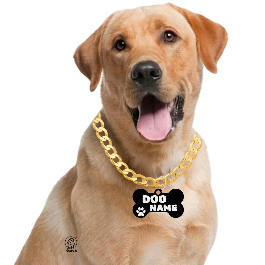 Pawpro Handmade Personalized Gold Chain Collar With Customizable Bone Shape Pet Id Tag For Large Medium Dog And Small Puppy (Lar