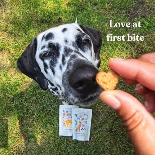 BOTANICAL BONES Love Bites Organic Training Treats for Dogs, Wheat-Free, Vegan Dog Treats, Clean Ingredients, Baked in The USA,