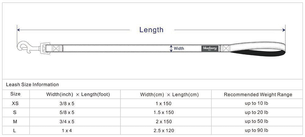 Blueberry Pet Essentials 2 Patterns Durable Pink Webbing Ladybug Designer Dog Leash 5 Ft X 5/8', Small, Basic Nylon Leashes For Dogs