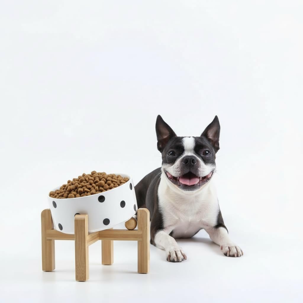 Petygooing Raised/Elevated 15Slanted Ceramic Dog Bowl for Small Breeds,Tilted Anti Slip Pet Bowl,Food Water Dish with Stand for 