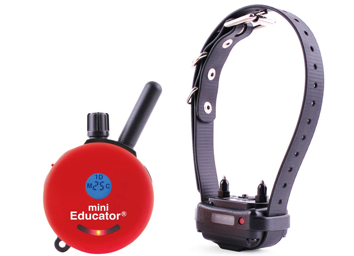 Mini Educator E-Collar Et-300 / Et-302 Dog Training Collar System With Remote - 1/2 Mile Range - Waterproof, Vibration, Sensatio