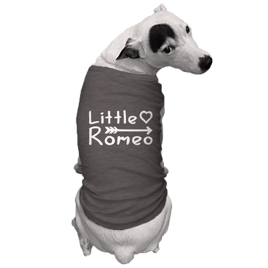 Little Romeo - Stud Handsome Cute Juliet Love Dog Shirt (Dark Gray, 3X-Large)