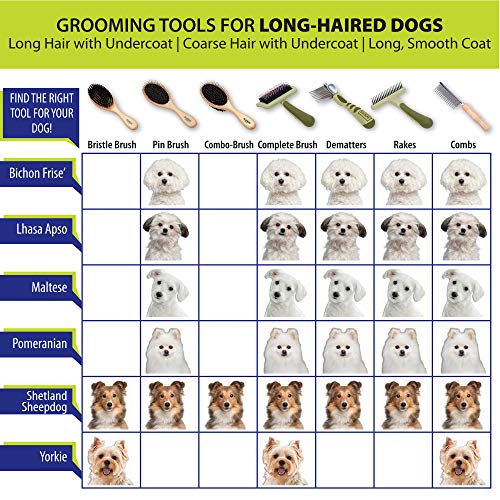 Safari Dog Self-Cleaning Slicker Brush, Large