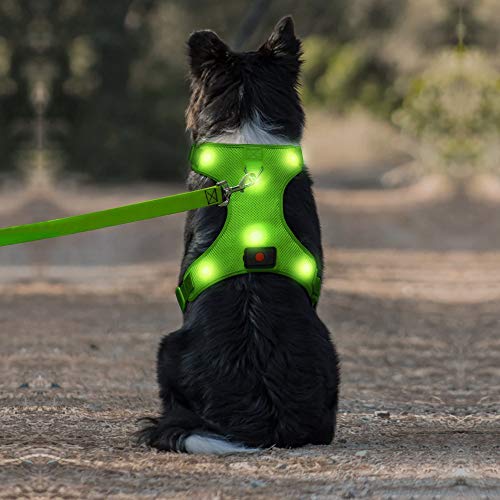 DOMIGLOW Light Up Harness for Dogs, No-Pull LED Dog Harness, USB Rechargeable Glowing Pet LED Vest for Night Walking Camping (Gr