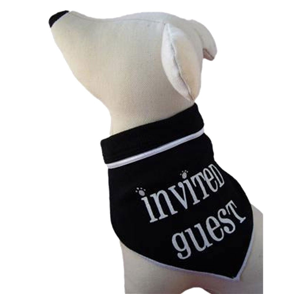 I See Spot'S Pet Scarf Bandanna, Invited Guest, Small, Black