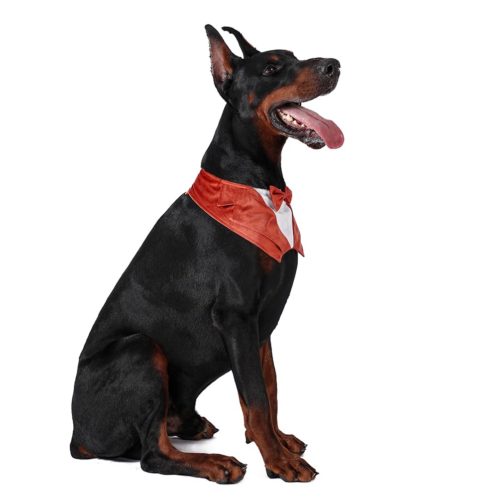 Dog Tuxedo For Wedding Engagement And Birthday, Halloween Formal Suit Tux Bandana Costume With Orange Bow Tie And Adjustable Buc
