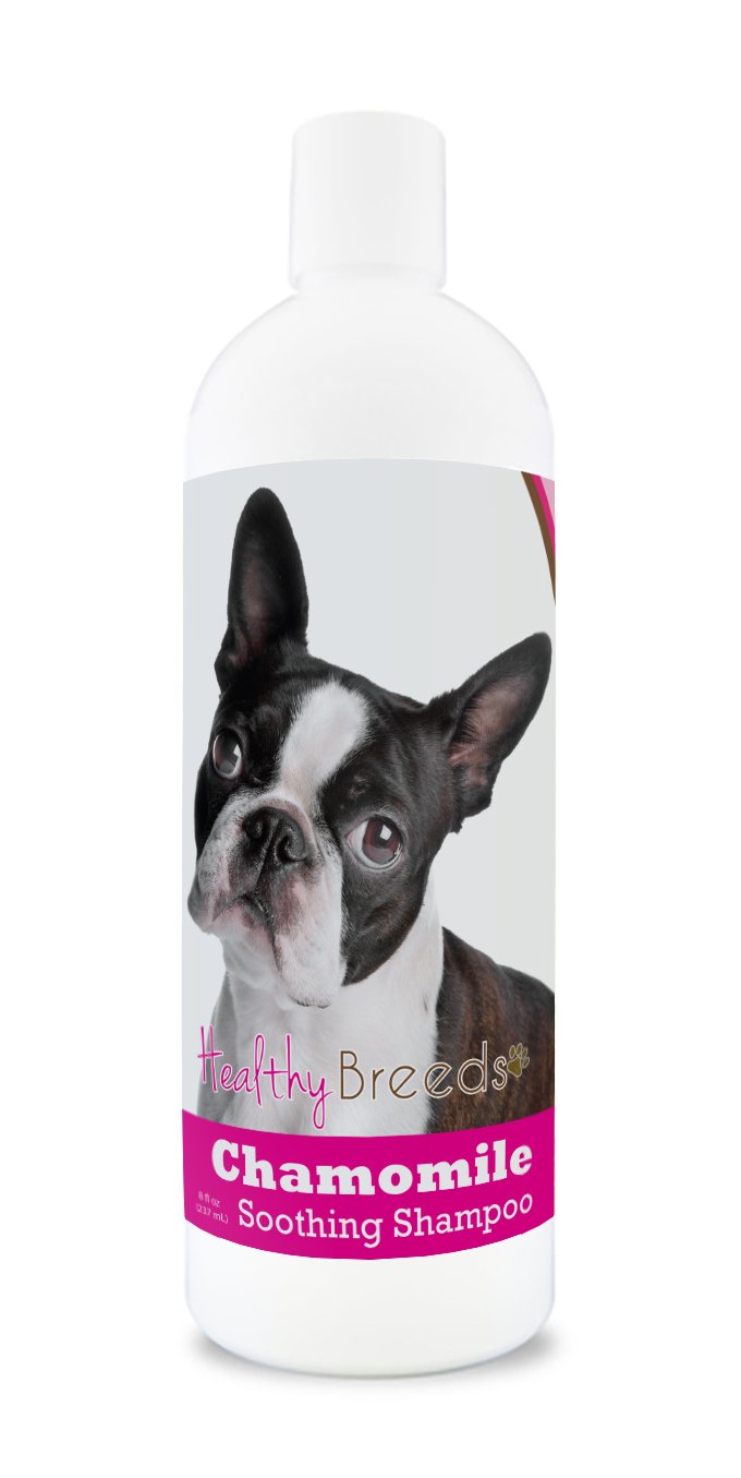 Healthy Breeds Boston Terrier Chamomile Soothing Dog Shampoo 8 oz