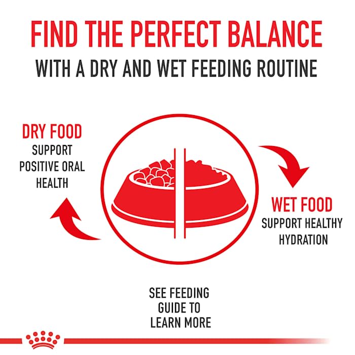 Royal Canin Small Adult 8+ Dry Dog Food, 2.5 lb bag