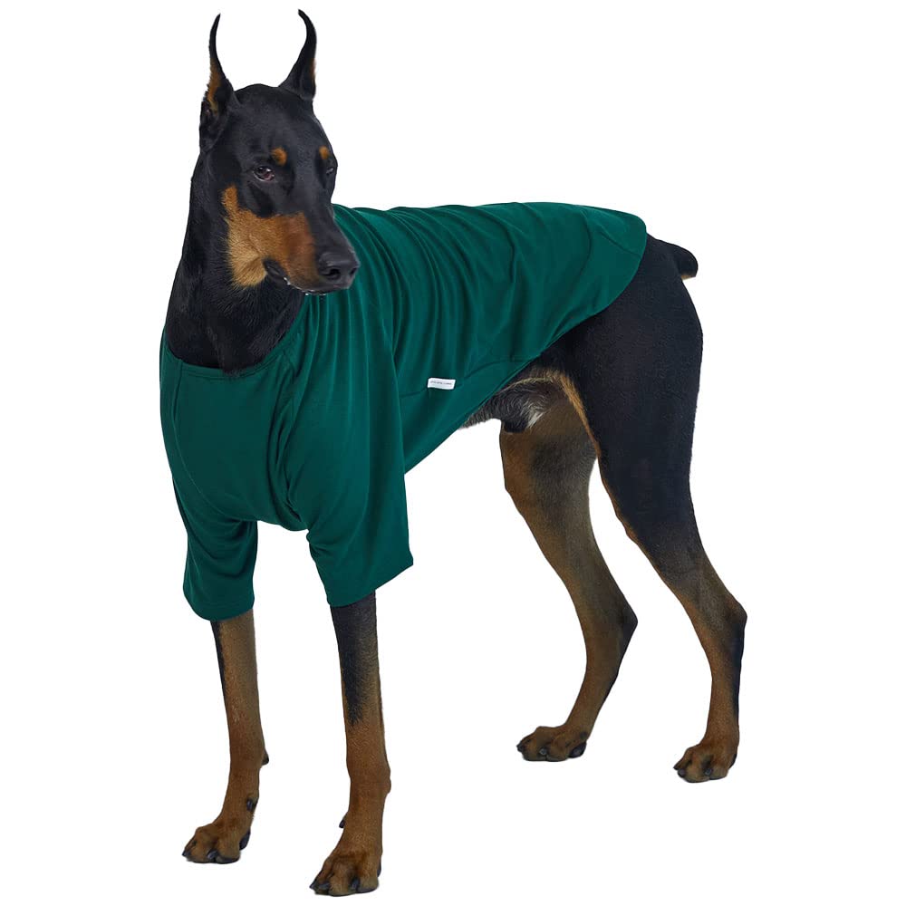 Lucky Petter Dog Shirt For Small Dogs Plain T-Shirts Soft Breathable Dog Cotton Shirt Pet Clothes (2X-Large, Green)