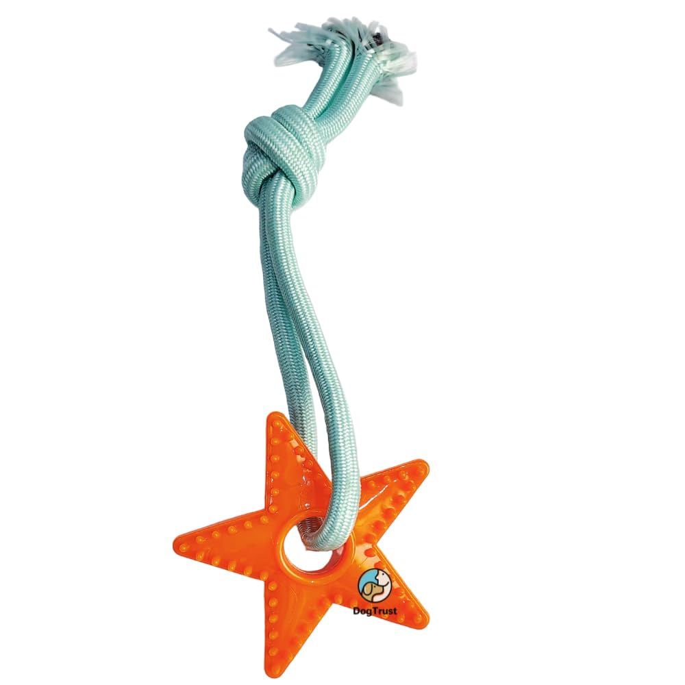 Dog Trust Starfish Dog Chew Toy | Soft Squeaky Plush Toy With Rope Arms For Puppies, Teething & Interactive Play | Durable Cotto