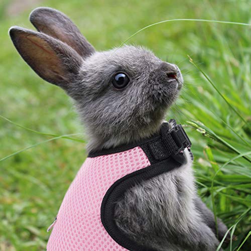 Satinior 2 Pieces Bunny Rabbit Harness With Leash Cute Adjustable Buckle Breathable Mesh Vest For Kitten Puppy Small Pets Animal Walking Accessories