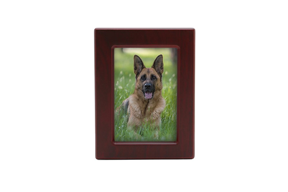 Near & Dear Pet Memorials Mdf Pet Photo Cremation Urn, 85 Cubic Inch, Cherry Finish